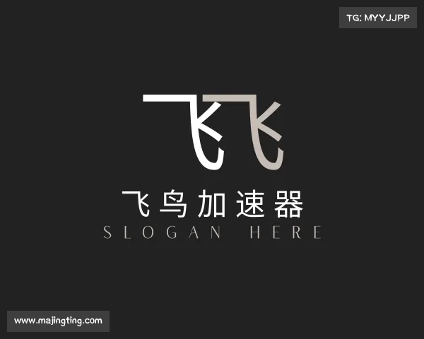 介绍飞鸟加速器